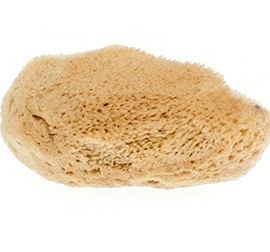 Prírodná morská hubka na pleť hodvábna mini - hnedá image